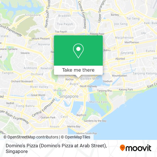 Domino's Pizza (Domino's Pizza at Arab Street)地图