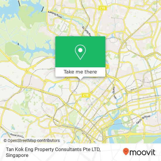 Tan Kok Eng Property Consultants Pte LTD map