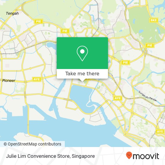 Julie Lim Convenience Store map
