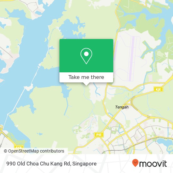 990 Old Choa Chu Kang Rd地图