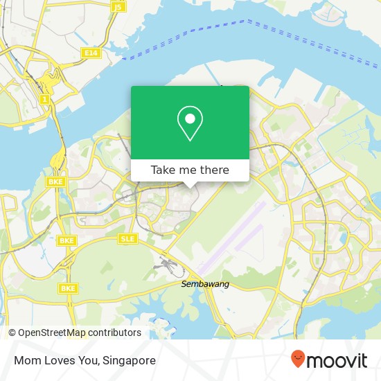 Mom Loves You地图