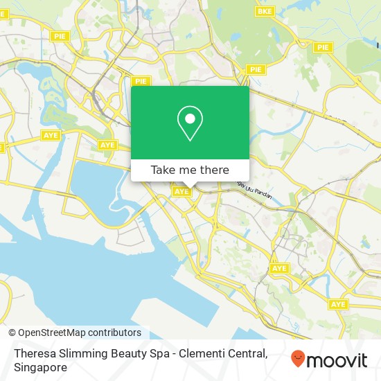 Theresa Slimming Beauty Spa - Clementi Central地图