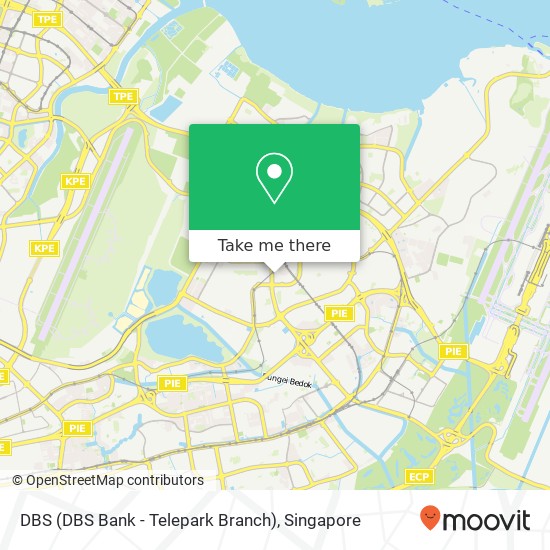 DBS (DBS Bank - Telepark Branch)地图