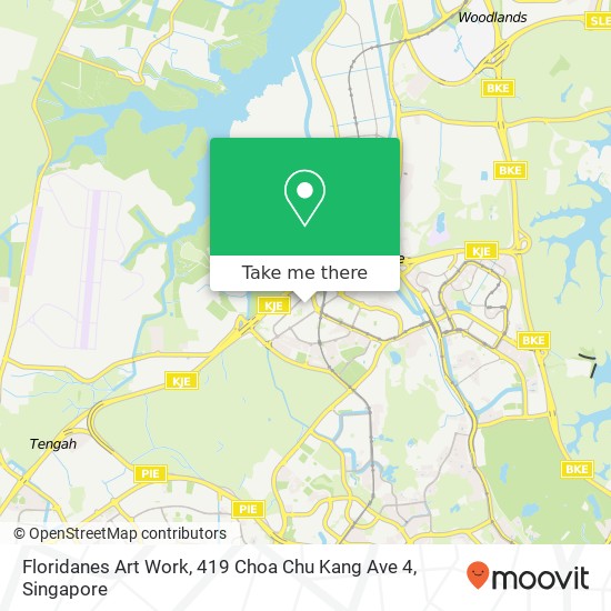 Floridanes Art Work, 419 Choa Chu Kang Ave 4 map