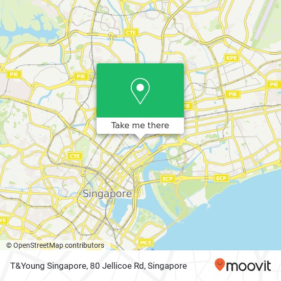 T&Young Singapore, 80 Jellicoe Rd地图