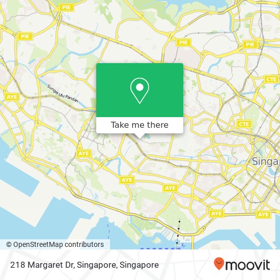 218 Margaret Dr, Singapore map
