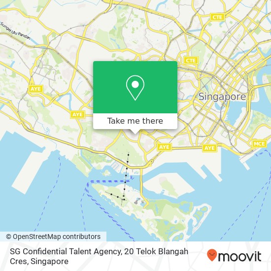 SG Confidential Talent Agency, 20 Telok Blangah Cres地图