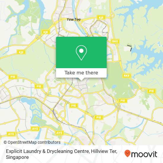 Explicit Laundry & Drycleaning Centre, Hillview Ter地图