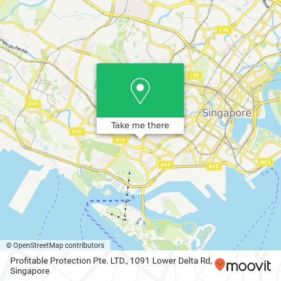 Profitable Protection Pte. LTD., 1091 Lower Delta Rd map