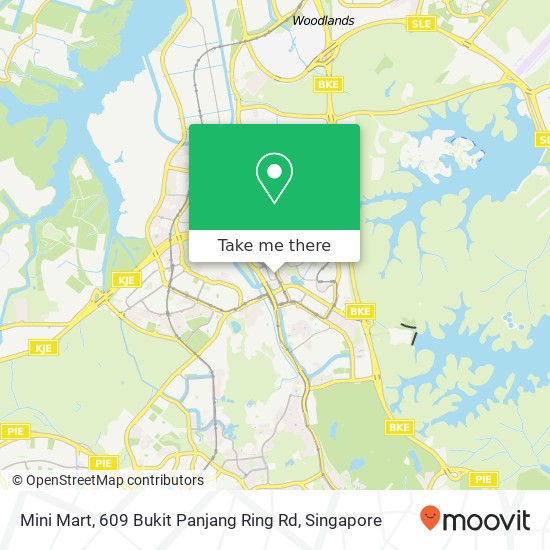 Mini Mart, 609 Bukit Panjang Ring Rd map