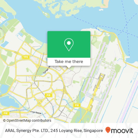 ARAL Synergy Pte. LTD., 245 Loyang Rise地图