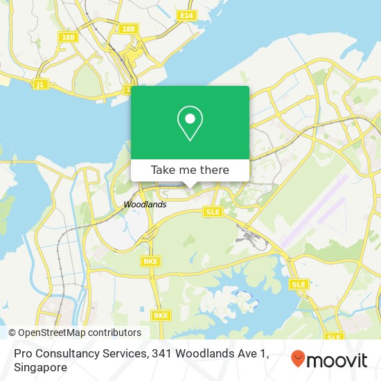 Pro Consultancy Services, 341 Woodlands Ave 1 map