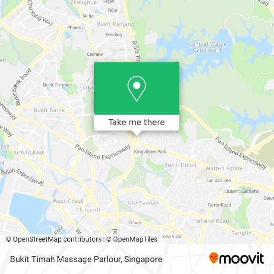 Bukit Timah Massage Parlour地图