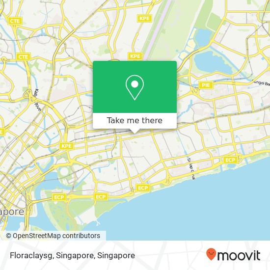 Floraclaysg, Singapore map