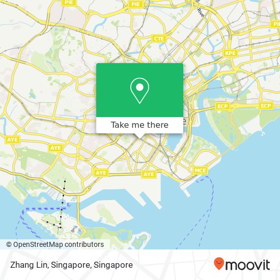 Zhang Lin, Singapore map