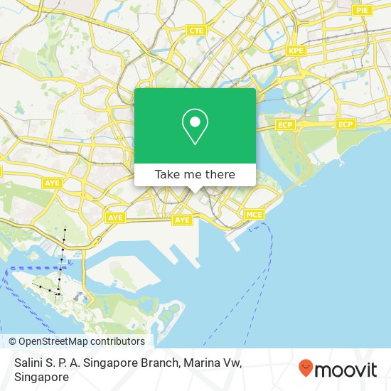 Salini S. P. A. Singapore Branch, Marina Vw地图