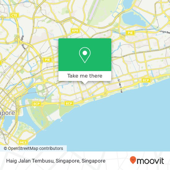 Haig Jalan Tembusu, Singapore地图