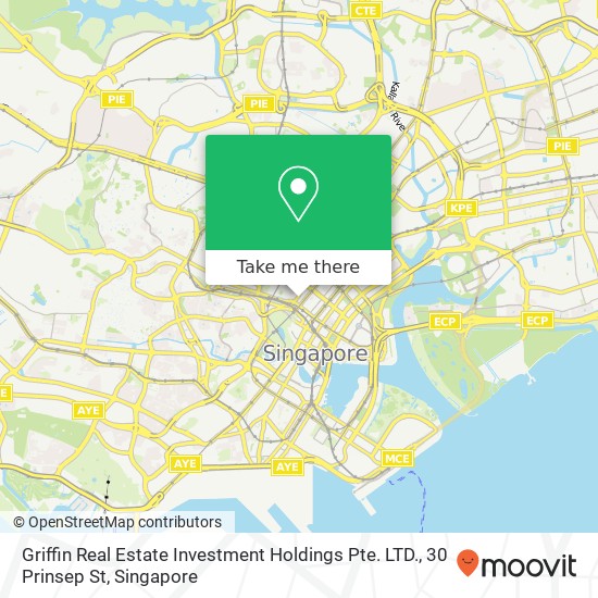 Griffin Real Estate Investment Holdings Pte. LTD., 30 Prinsep St地图