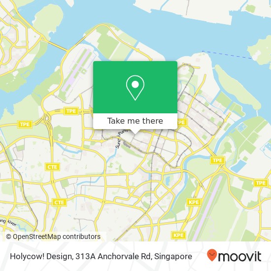 Holycow! Design, 313A Anchorvale Rd地图