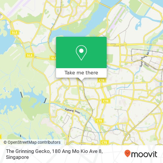 The Grinning Gecko, 180 Ang Mo Kio Ave 8 map