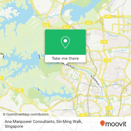 Ana Manpower Consultants, Sin Ming Walk地图