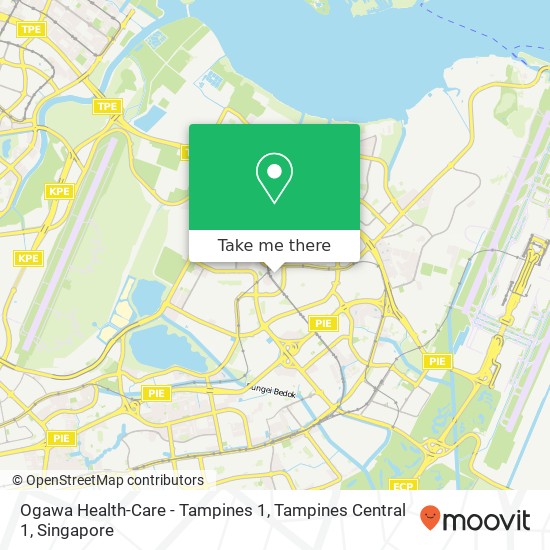 Ogawa Health-Care - Tampines 1, Tampines Central 1地图