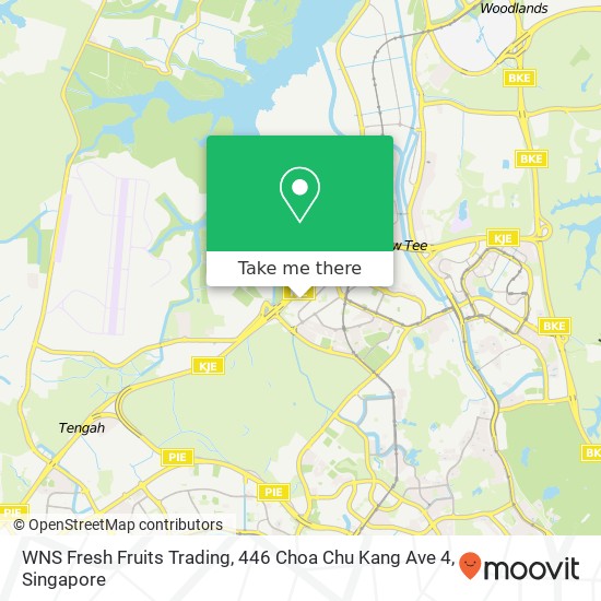 WNS Fresh Fruits Trading, 446 Choa Chu Kang Ave 4地图