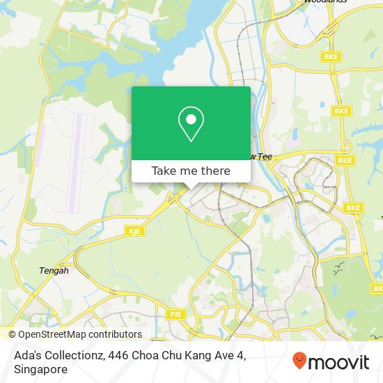Ada's Collectionz, 446 Choa Chu Kang Ave 4 map