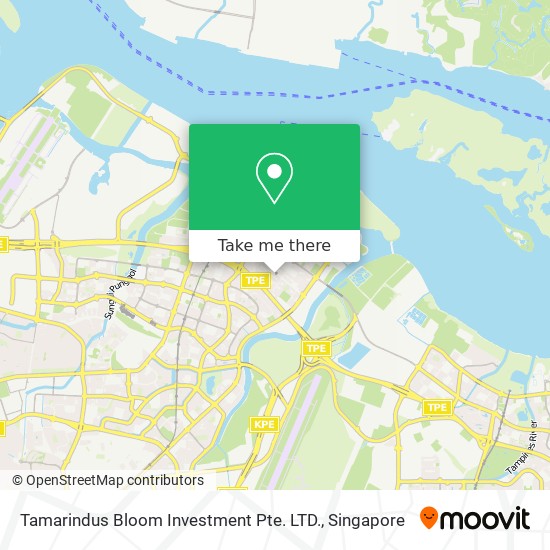 Tamarindus Bloom Investment Pte. LTD. map