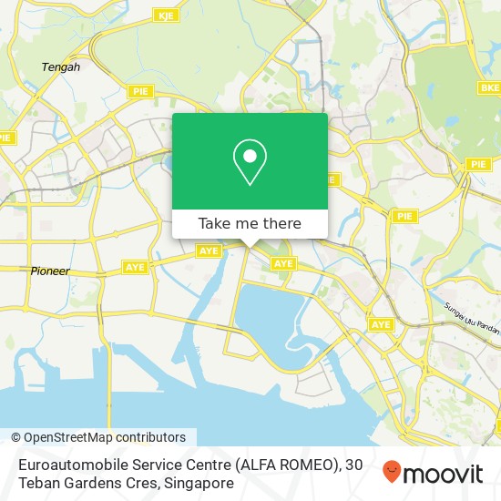 Euroautomobile Service Centre (ALFA ROMEO), 30 Teban Gardens Cres map