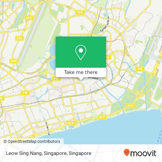 Leow Sing Nang, Singapore map