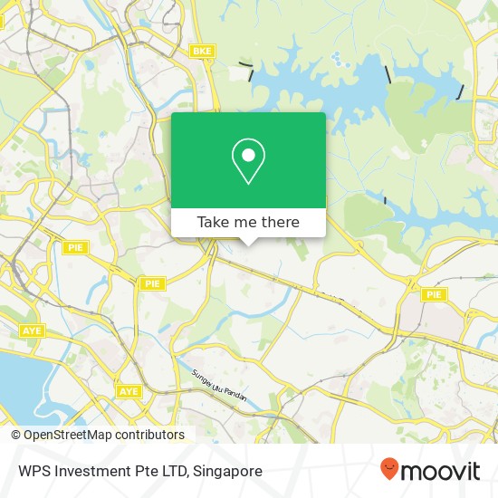 WPS Investment Pte LTD, 29 Sian Tuan Ave地图