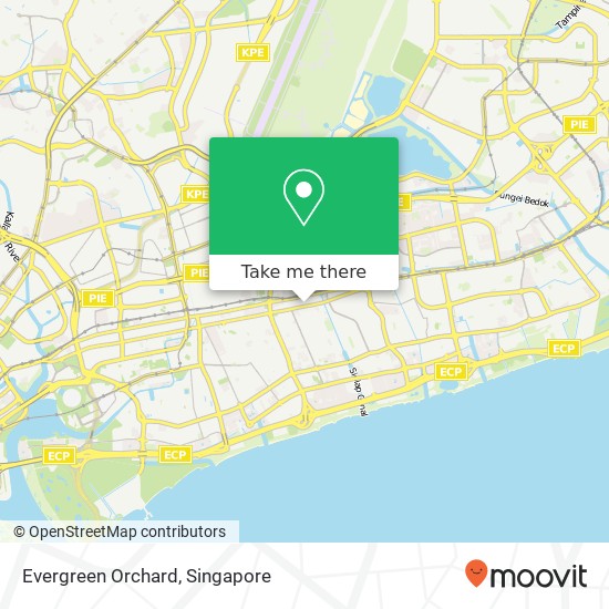 Evergreen Orchard, 393 Changi Rd地图