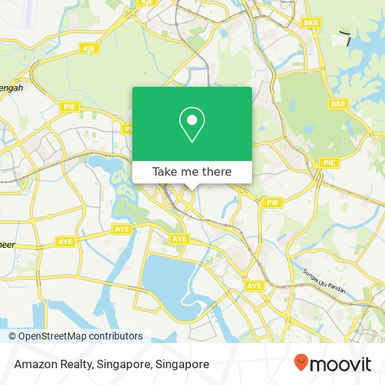 Amazon Realty, Singapore map