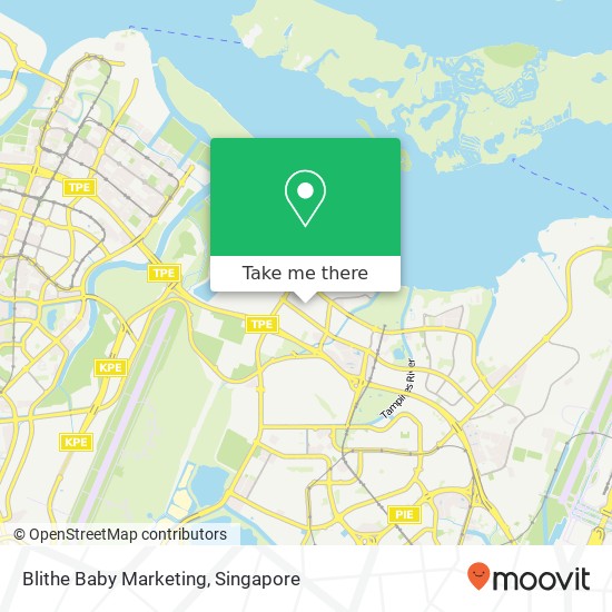 Blithe Baby Marketing, Singapore地图