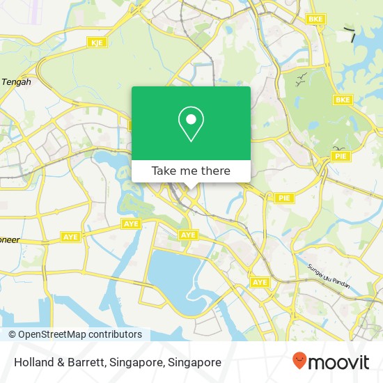 Holland & Barrett, Singapore地图