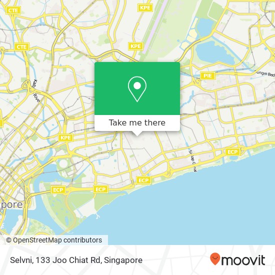 Selvni, 133 Joo Chiat Rd地图