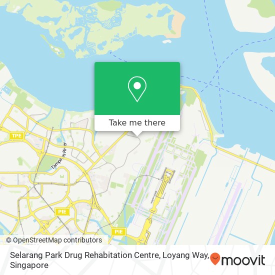 Selarang Park Drug Rehabitation Centre, Loyang Way地图