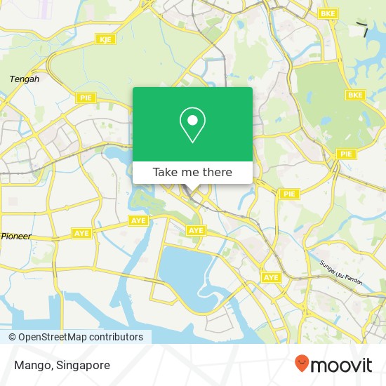 Mango, Jurong Gateway Rd地图