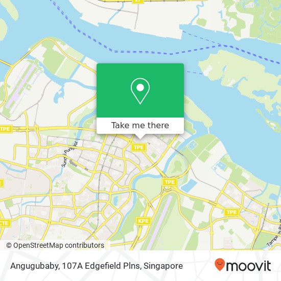 Angugubaby, 107A Edgefield Plns地图