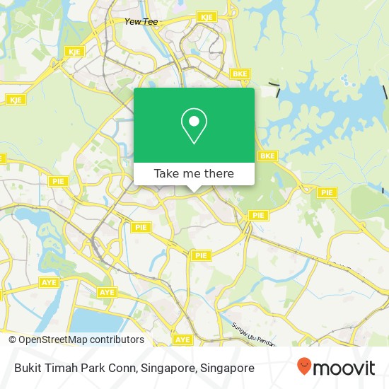 Bukit Timah Park Conn, Singapore map