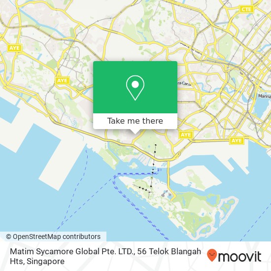 Matim Sycamore Global Pte. LTD., 56 Telok Blangah Hts地图
