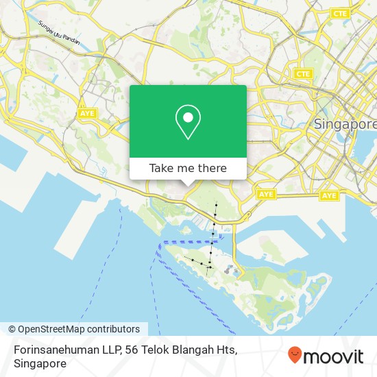 Forinsanehuman LLP, 56 Telok Blangah Hts地图