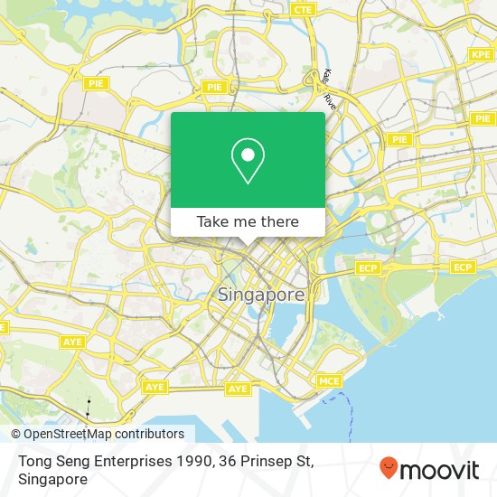 Tong Seng Enterprises 1990, 36 Prinsep St地图