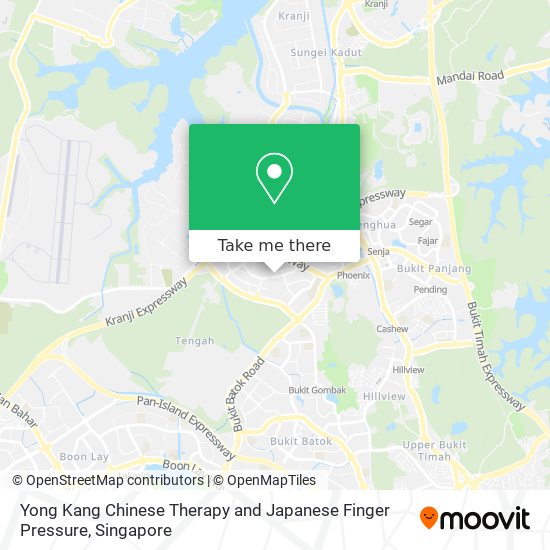 Yong Kang Chinese Therapy and Japanese Finger Pressure map