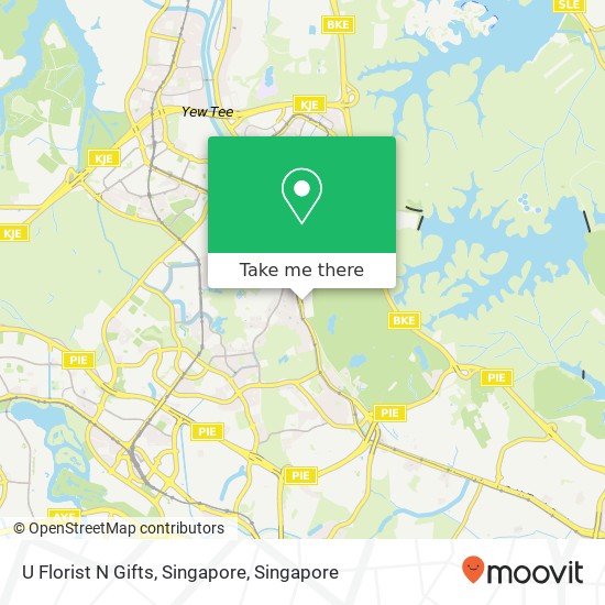 U Florist N Gifts, Singapore map
