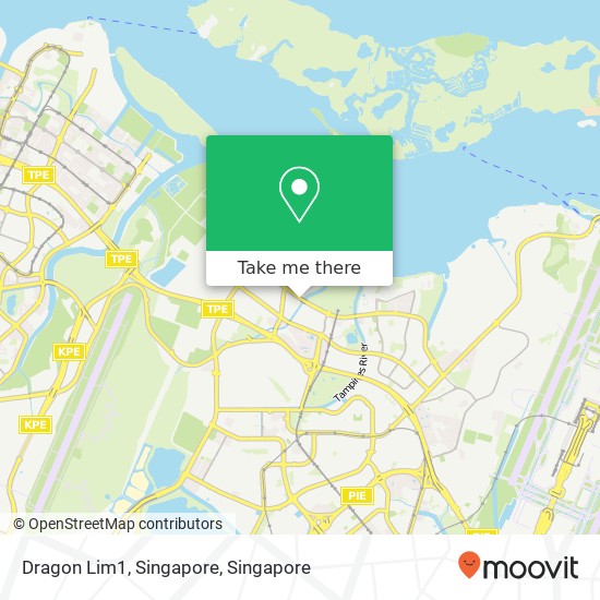 Dragon Lim1, Singapore地图