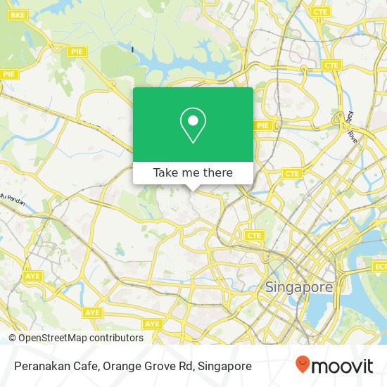 Peranakan Cafe, Orange Grove Rd map