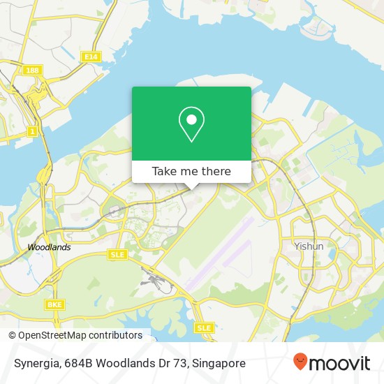 Synergia, 684B Woodlands Dr 73 map