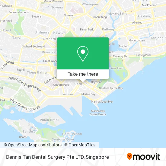 Dennis Tan Dental Surgery Pte LTD地图
